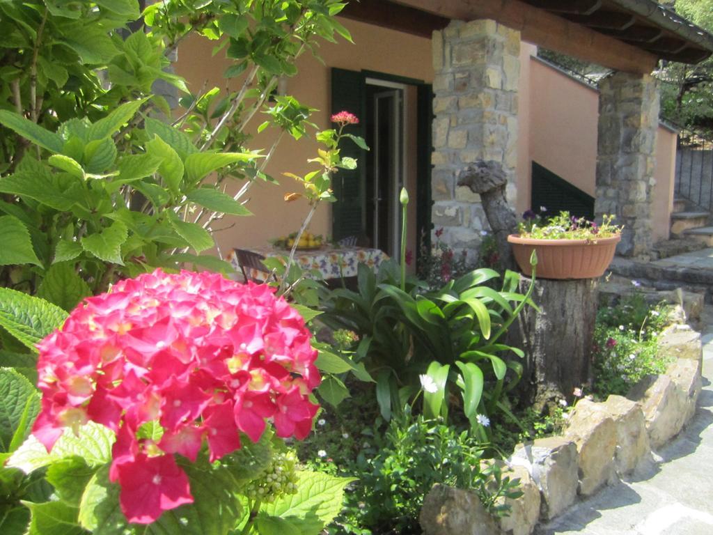 Agriturismo Turlin Vallebona Exterior foto